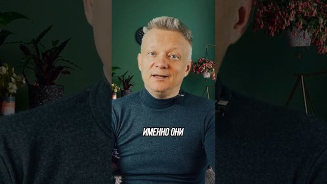 Загадка пророка: где он прячется от нас? #богатство #бизнес смотреть онлайн