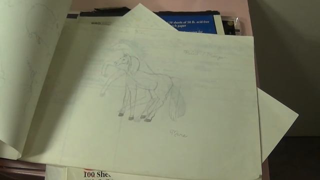 Sketchbook Tour | My Art History Part 1 | Age 11-14 смотреть онлайн