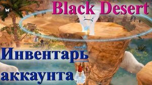 Black Desert - инвентарь аккаунта