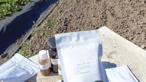 Препараты для клубники, набор средств защиты на следующий год