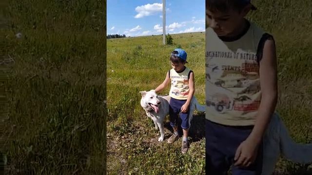 VLOG. СТОИТ ПОСМОТРЕТЬ. НАША БЕЛКА НА ПРОГУЛКИ. смотреть онлайн