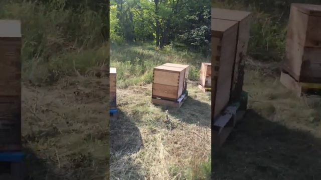 Завтра буду ставить третий корпус) смотреть онлайн