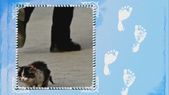 Котёнок - Артёмка...исп. Юрий Истомин смотреть онлайн