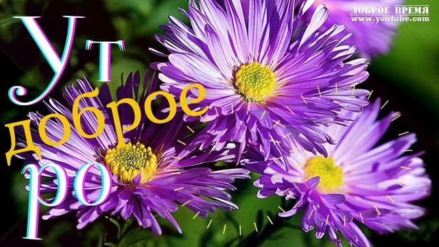 КРАСИВЫЕ ПЕСНИ ОБО ВСЁМ...УТРО ДОБРОЕ!! смотреть онлайн