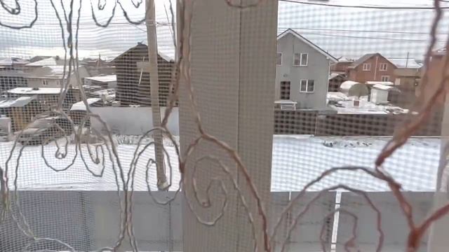 образцовая