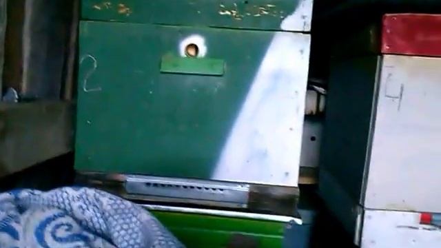 Подготовка пчёл к зимовке. Часть 8.