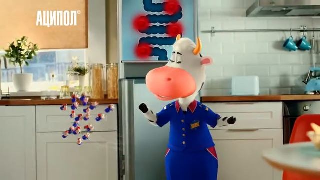 Аципол смотреть онлайн