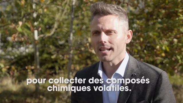 Comment les chiens détectent le parasite du paludisme chez l'homme смотреть онлайн