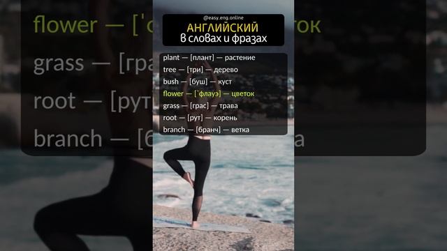 📌 АНГЛИЙСКИЙ ДЛЯ НАЧИНАЮЩИХ ВЗРОСЛЫХ | ⚡ Тренировка понимания английского на слух смотреть онлайн