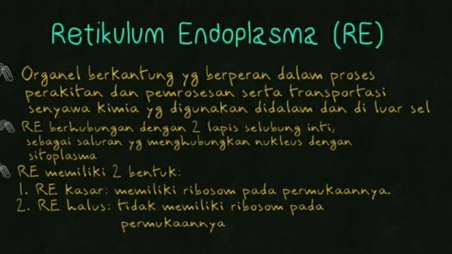 SEL 1 - Sejarah, teori sel, struktur dan komponen penyusunnya смотреть онлайн