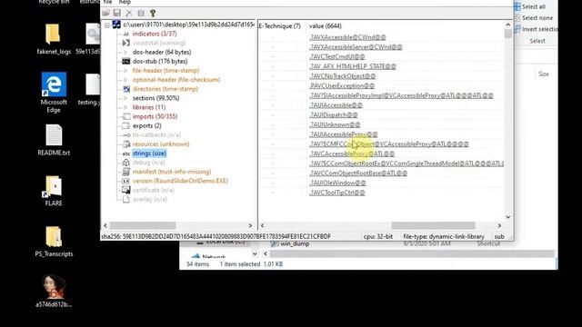 Malware Analysis- Introduction to Static and Dynamic Analysis смотреть онлайн