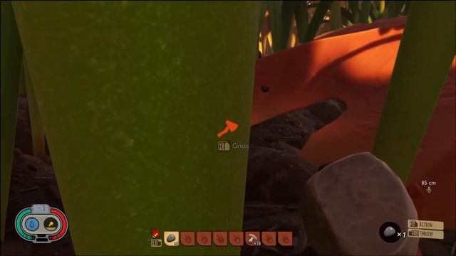 Grounded: Xbox Series S смотреть онлайн