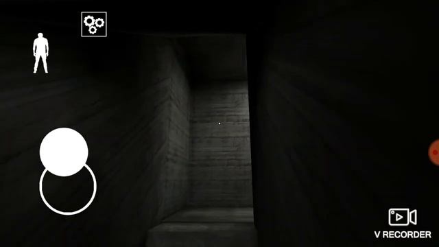 Лекторный институт