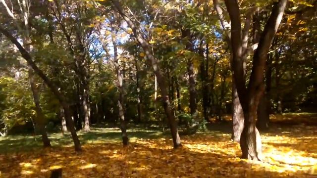 Красота осени смотреть онлайн