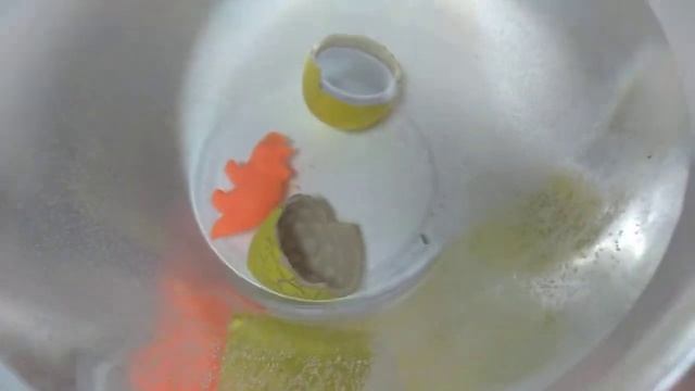 Вылупление динозавров:)МЕГА СФЕРА смотреть онлайн