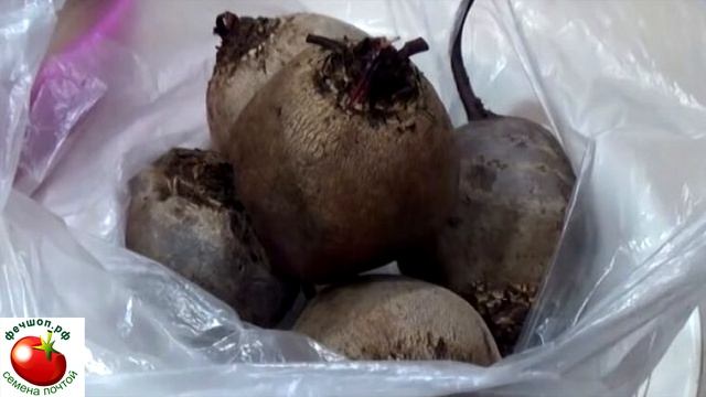 Как быстро сварить большую свеклу? смотреть онлайн