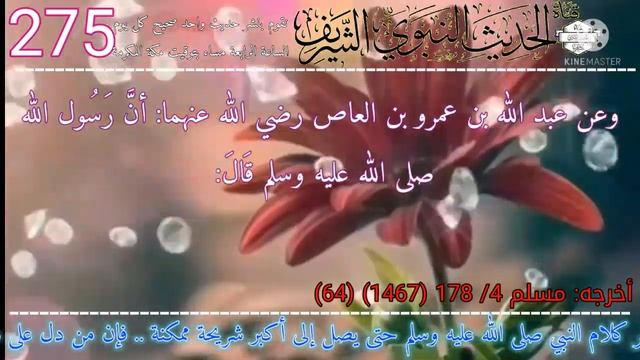 حديث اليوم 275 | الدنيا متاع وخير متاعها المرأة الصالحة .. رواه مسلم عن عبدالله بن عمرو بن العاص .. смотреть онлайн