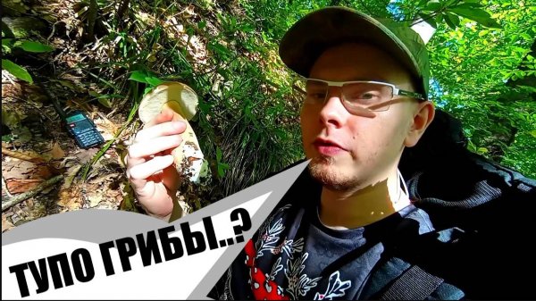 В ГОРЫ ПО ГРИБЫ С РАЦИЯМИ | БЕЛЫЕ ГРИБЫ В СОЧИ | КРИНЖ ГРИБНИК | МУХОМОР ЦЕЗАРСКИЙ И Т.Д