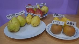 Выбираем лучшие сорта груш для средней полосы РФ.