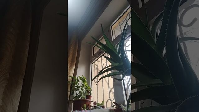 как нарисавать стикер 1 смотреть онлайн