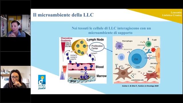 Il cancro non è un'isola смотреть онлайн