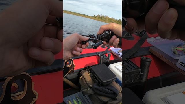 Хорошая поклевка