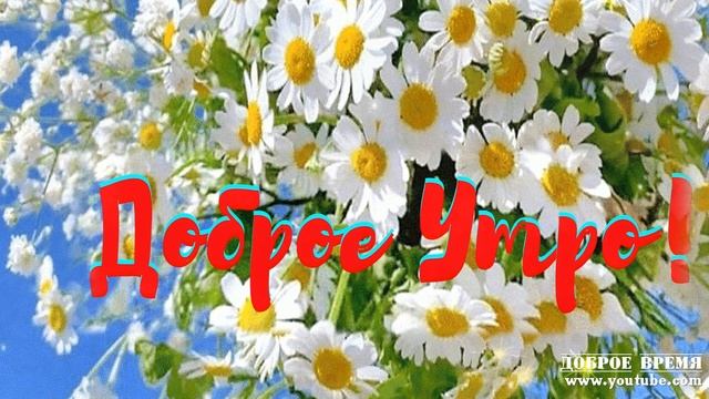 КРАСИВЫЕ ПЕСНИ ОБО ВСЁМ...Доброе утро!!! смотреть онлайн