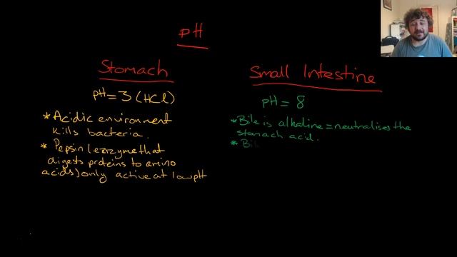 pH in the Digestive System Stomach and Small Intestine: Senior Science Lifestyle Chemistry смотреть онлайн
