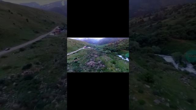 Неліктен біз денелерді көре аламыз?