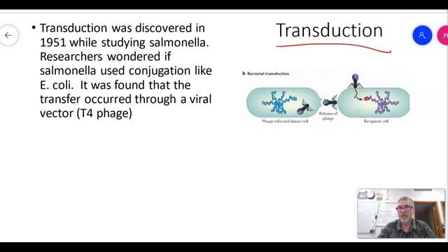 Biotech Bacterial Genetic Variation смотреть онлайн
