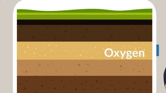 Story of Biodegradable Plastic смотреть онлайн