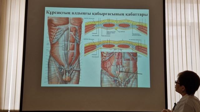 Құрсақтың алдыңғы-бүйір қабырғасының топографиялык анатомиясы смотреть онлайн