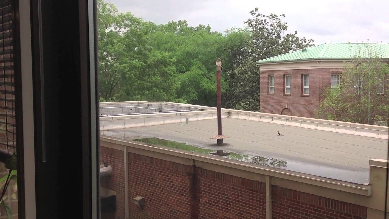When Nature Attacks