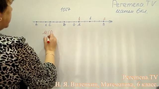 Виленкин, Математика, 6 класс, задача 1027 смотреть онлайн