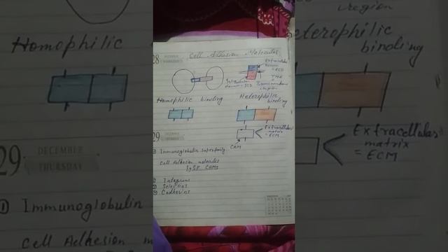 cell adhesion molecules смотреть онлайн