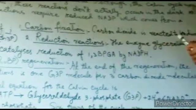 Class: 11th. Sub: Botany. Topic: Give an Overview of Calvin Cycle (Mineral Nutrition) смотреть онлайн