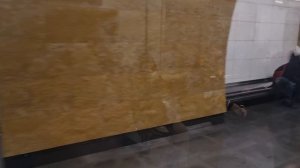 Остановка в туннеле и прибытие на станцию Окружная. Люблинско-Дмитровская линия метро.