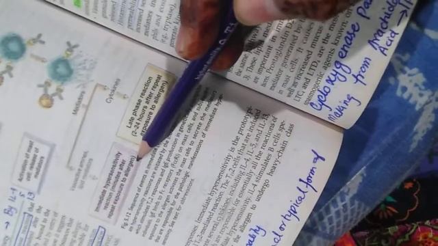 Hypersensitivity type 1 | Immediate hypersensitivity| Early phase & Late phase reactions| Robbins смотреть онлайн