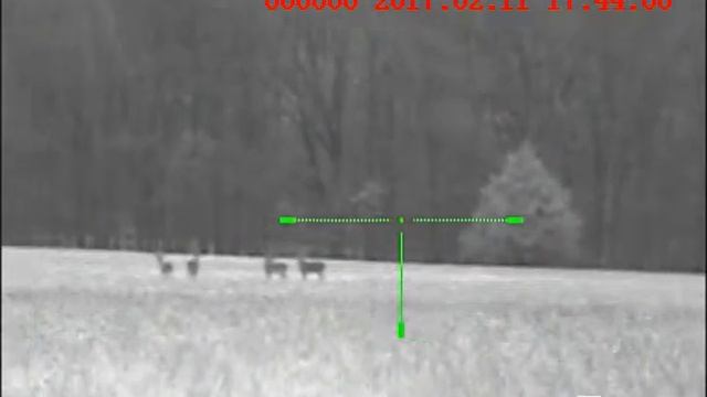 Coyote hunting with the Sightmark 4.6 photon смотреть онлайн