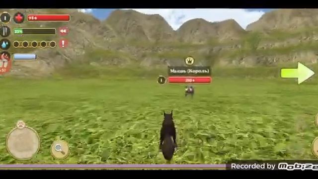 играю в симулятор белки очень круто смотреть онлайн