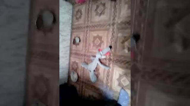 1часть свадьбы Вика и крыс потом ёжик потом реш и ла а продолжение буд е когда будет 2 просмотра смотреть онлайн