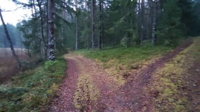 Вода и её тайны смотреть онлайн