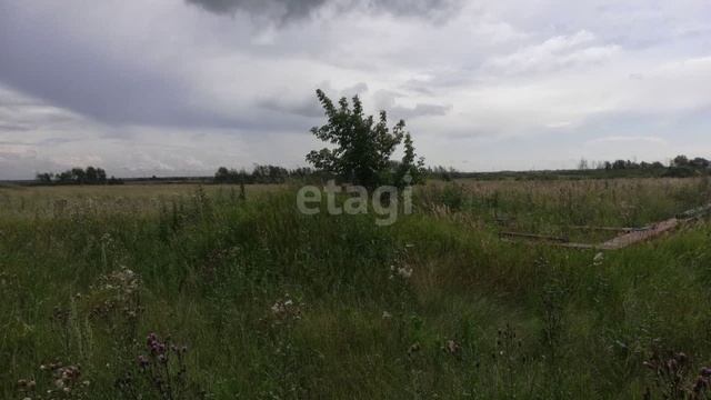 11385816 смотреть онлайн