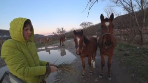 Шашлык из перепелов //ОСТОРОЖНО! Очень ВКУСНО! //Рецепт маринада