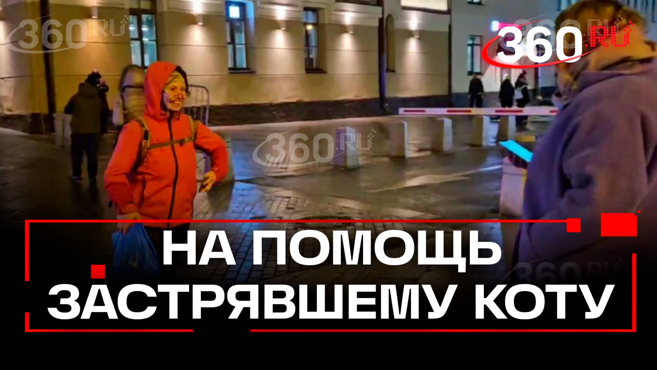 Спасение кота в Королеве. На помощь едет руководитель службы Кошкиспас смотреть онлайн