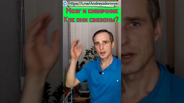 Мозг и кишечник. Как они связаны? #здоровье #ЖКТ #восстановление смотреть онлайн