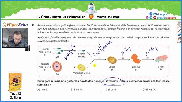 2.Ünite - Test - 12 ( Mayoz Bölünme ) 7.Sınıf Hiperzeka Sinerji Fen Bilimleri Soru Bankası смотреть онлайн