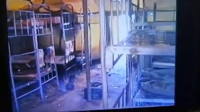 Зиберхали 1995 год смотреть онлайн