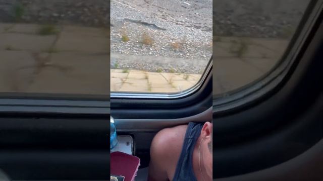 Поездом Краснодар - Сочи смотреть онлайн