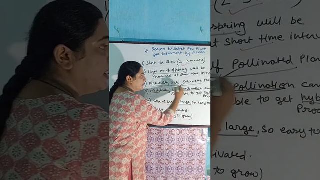 REASONS TO SELECT PEA PLANT FOR EXPERIMENT BY MENDEL ||BIOLOGY ADDA||PRIYDARSHANI MAM смотреть онлайн